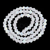 Imitate Austrian Crystal Bicone Frosted Glass Beads Strands GLAA-F029-TM4mm-A13-2