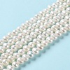 Natural Cultured Freshwater Pearl Beads Strands PEAR-E018-57-2