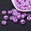 Opaque Acrylic European Beads PL338-71-1