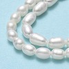 Natural Cultured Freshwater Pearl Beads Strands PEAR-J006-09B-4