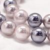 Round Shell Pearl Bead Strands BSHE-L011-8mm-L030-4