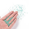 11/0 Grade A Transparent Glass Seed Beads X-SEED-N001-E-320-4