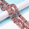 Natural Straswberry Quartz Beads Strands G-D480-A14-4