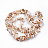 Natural Freshwater Shell Beads Strands SHEL-N026-210-2