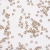 8/0 Glass Seed Beads X-SEED-J012-F8-528-3