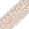 Natural Cultured Freshwater Pearl Beads Strands PEAR-N012-03D-2