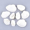 Clam Shell Beads SSHEL-S258-43-1