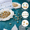 Yilisi 780Pcs 6 Style Sew on Rhinestone DIY-YS0001-44-6