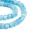 Natural Jade Imitation Amazonite Beads Strands G-E560-A03-A-3