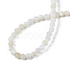 Natural Freshwater Shell Beads Strands X-BSHE-T009A-01A-2