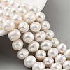 Natural Cultured Freshwater Pearl Beads Strands PEAR-C003-19C-2