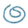 Natural Apatite Beads Strands G-O180-12-6mm-2