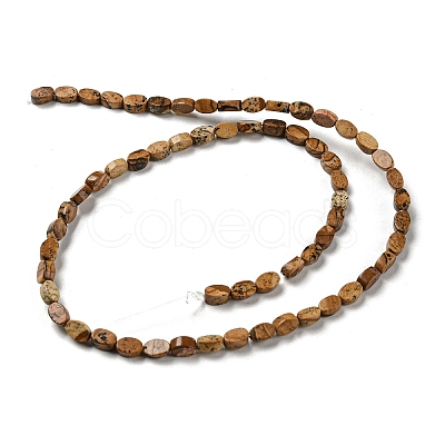 Natural Picture Jasper Beads Strands G-M420-H10-03-1