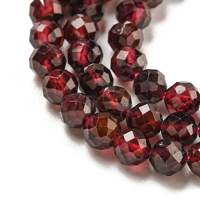 Natural Garnet Beads Strands G-I341-09C-1