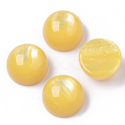 Resin Beads RESI-N022-02D-1