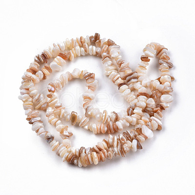 Natural Freshwater Shell Beads Strands SHEL-N026-210-1