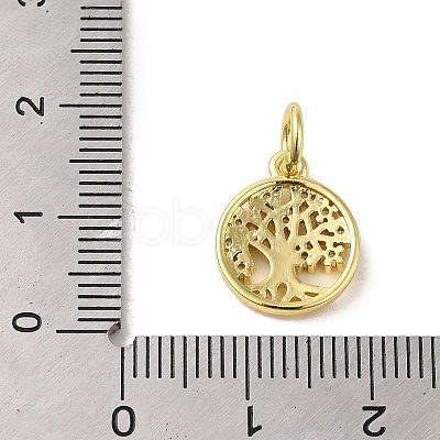 Brass Micro Pave Clear Cubic Zirconia Pendants KK-R162-002G-1