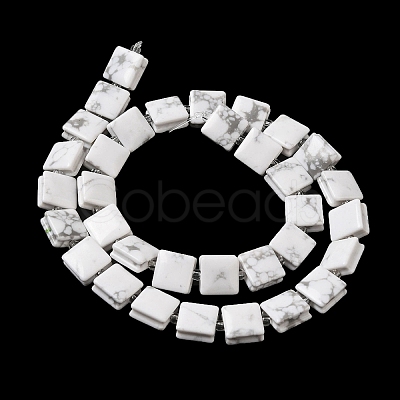 Natural Howlite Beads Strands G-L596-A19-01-1