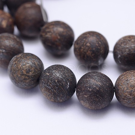 Natural Bronzite Beads Strands G-D745-12mm-1