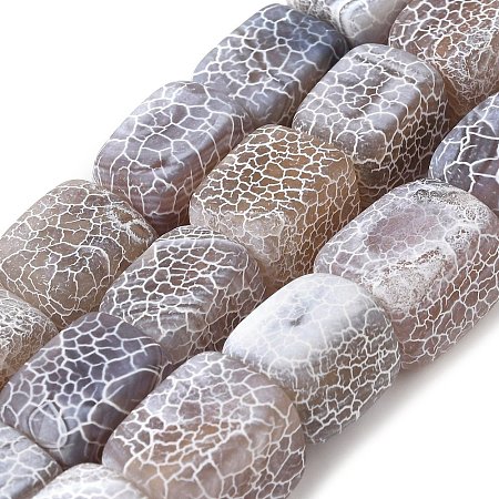 Natural Weathered Agate Beads Strands G-Q169-B04-01-1