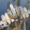 Natural Electroplated Crystal Hair Bands, with Quartz Crystal Chips, Crown Hair Bands, for Women Girls, 270x180x30mm