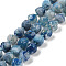 Natural Cherry Blossom Agate Beads Strands, Dyed & Heated, Polygon, Steel Blue, 14x14x12.5mm, Hole: 1.6mm, about 26pcs/strand, 16.34''(41.5cm)