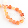 Dyed Natural Red Agate Bead Strands X-G-R190-09-2