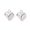 304 Stainless Steel Charms STAS-I138-11C-P-01-3