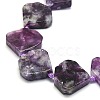 Natural Lepidolite Beads Strands G-G106-E01-01-3