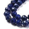 Natural Lapis Lazuli Beads Strands G-K323-21-4