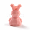 PVC Faceted Cartoon Rabbit Pendants FIND-B002-15-3