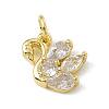 Brass Micro Pave Cubic Zirconia Charms ZIRC-F132-09G-1