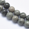 Natural Green Line Jasper Beads Strands G-P361-01-8mm-3