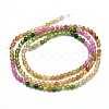 Natural Tourmaline Beads Strands G-I289-03-2