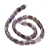 Natural Lepidolite/Purple Mica Stone Beads Strands G-K245-I16-01-3