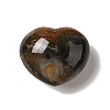Natural Desert Jasper/Polychrome Jasper Heart Love Stone G-C010-01-3
