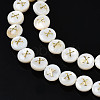 Natural Freshwater Shell Beads SHEL-S276-168X-3