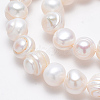 Natural Cultured Freshwater Pearl Beads Strands X-SPPA007Y-1-3