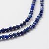 Natural Lapis Lazuli Beads Strands G-K185-01-3