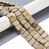 Natural White Picture Jasper Beads Strands G-K362-C01-01-2