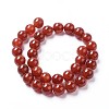 Natural Agate Beads Strands G-I261-B01-12mm-2