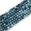 Natural Apatite Beads Strands G-N342-34-1