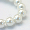 Baking Painted Glass Pearl Round Bead Strands HY-Q003-10mm-01-3