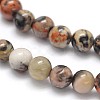 Natural Silver Crazy Lace Agate Round Beads Strands G-N0166-34-4mm-2