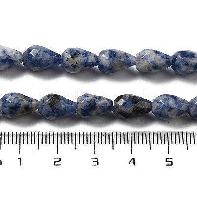 Natural Blue Spot Jasper Beads Strands G-P520-B21-01-1