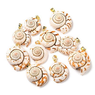 Natural Spiral Shell Red Lip Shell Pendants SSHEL-R145-06-1