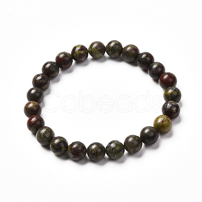 Natural Dragon Blood Jasper Stretch Bracelets for Men Women BJEW-JB06696-1