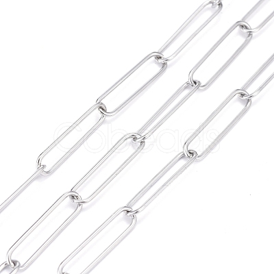 Tarnish Resistant 304 Stainless Steel Paperclip Chains CHS-F011-03A-P-1