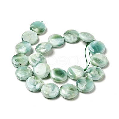 Natural Glass Beads Strands G-I247-33A-1