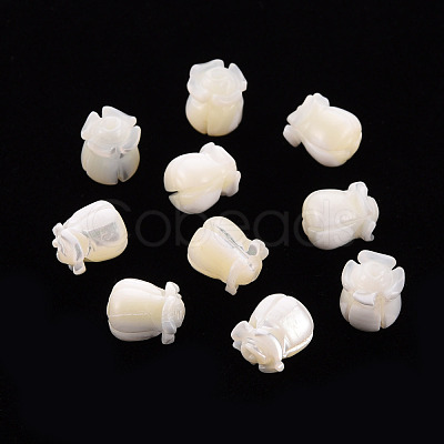 Natural Trochid Shell/Trochus Shell Beads SSHEL-T014-32-1